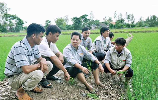 Càng mở rộng, Lộc Trời càng đuối kinh doanh ảnh 1