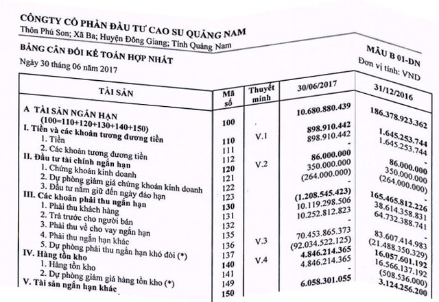 VHG: Bất thường trên báo cáo tài chính quý II ảnh 1