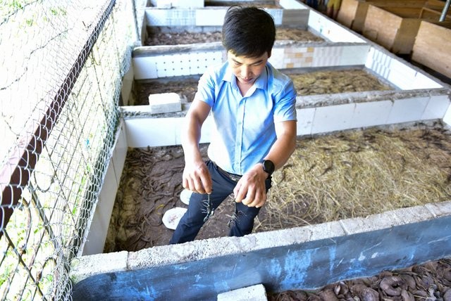 8X kiếm tiền tỷ mỗi năm nhờ nuôi bọ cạp, rắn mối ngay tại Hà Nội ảnh 3