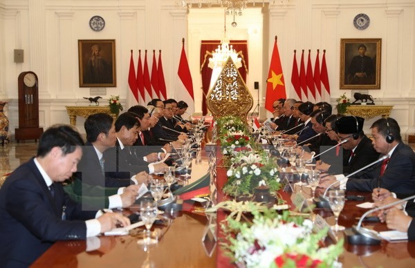 Tổng Bí thư Nguyễn Phú Trọng và Tổng thống Joko Widodo hội đàm, chứng kiến ký kết một loạt văn kiện hợp tác ảnh 1