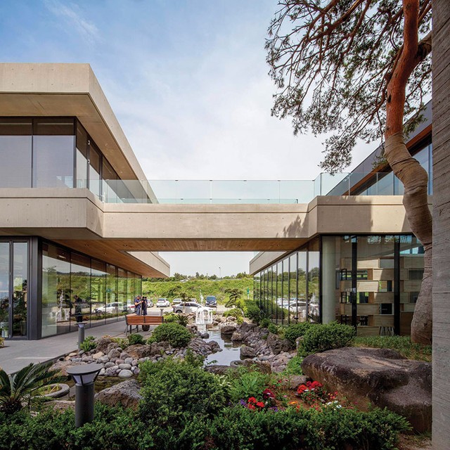 Yosukwon: Chia cắt, cân bằng và thống nhất ảnh 5