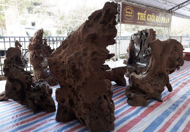 Ngắm những đồ gỗ bạc tỷ của đại gia ảnh 4