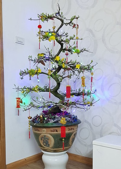 Vợ cười mếu khi khoán cho chồng đi mua sắm ngày Tết ảnh 1