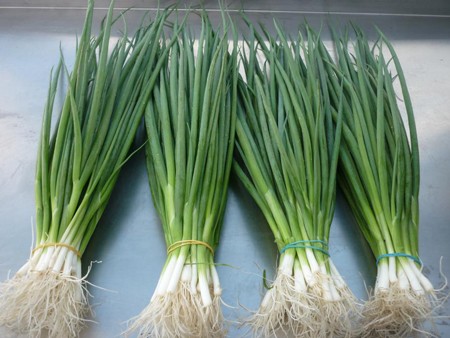 Vợ cười mếu khi khoán cho chồng đi mua sắm ngày Tết ảnh 2