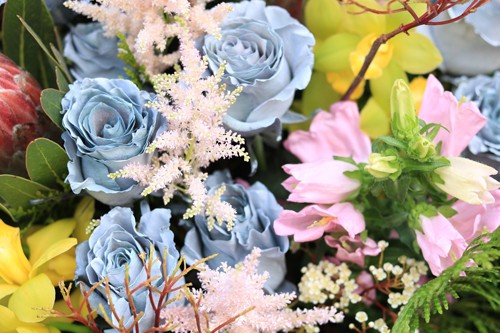 Anh chồng mua bình hoa hồng 65 triệu đồng tặng vợ ngày Valentine ảnh 1