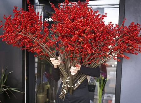 5 loại hoa mới được nhiều gia đình tìm mua dịp cuối năm ảnh 10