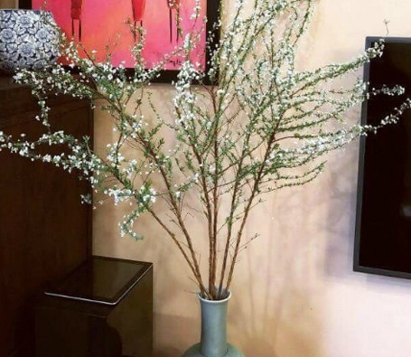 5 loại hoa mới được nhiều gia đình tìm mua dịp cuối năm ảnh 4