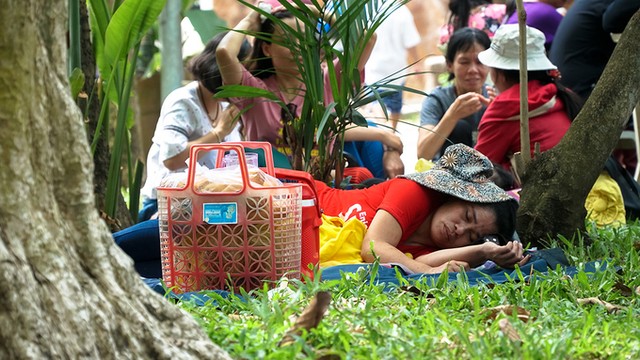 Vườn hoa trong sở thú Sài Gòn bị giẫm nát ngày đầu năm mới ảnh 12