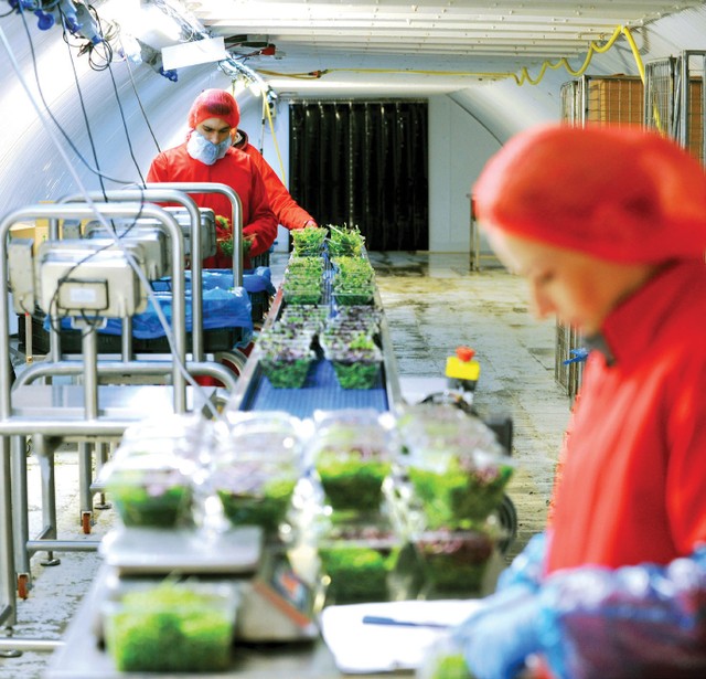 Thành phố ngầm: Bầu trời mới dưới lòng đất ảnh 1