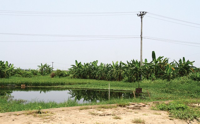 Nhức nhối quy hoạch treo, dự án chậm tiến độ ảnh 1