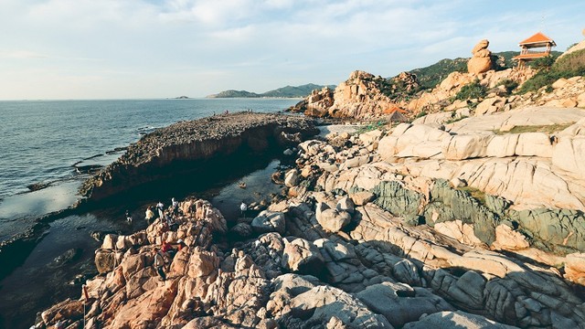 Ninh Thuận “rong câu cho dài” hút doanh nghiệp nghìn tỷ ảnh 3