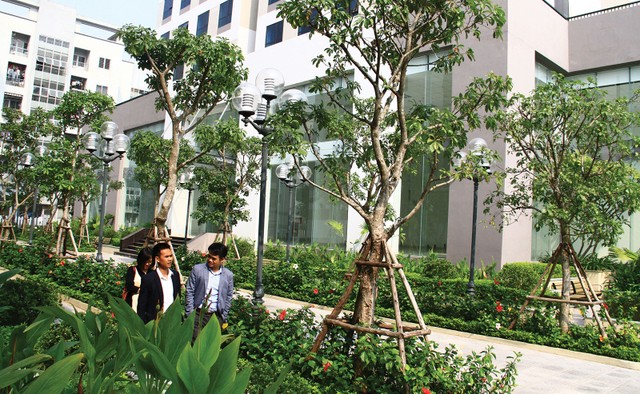 Bất động sản Hà Nội nửa đầu năm: Doanh nghiệp bắt mạch tốt ảnh 1