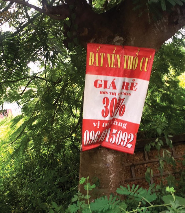 Tôi đi mua đất nền ngoại ô ảnh 1