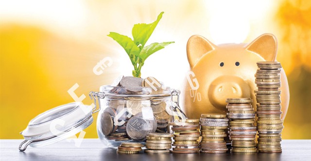 Cần chặn thao túng và tăng công cụ đầu tư chuyên nghiệp ảnh 2