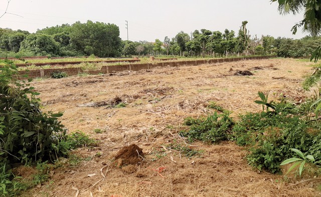 Ký sự đất nền: Nhà đầu tư vui vẻ… mất tiền ảnh 1