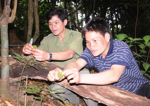 Quảng Nam dự kiến thu hút hơn 11.800 tỷ đồng đầu tư vào nông nghiệp ảnh 1