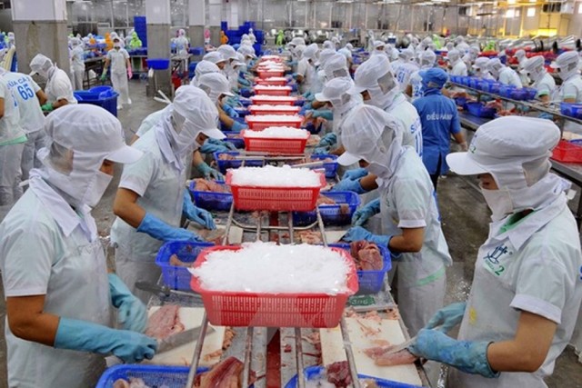 Xuất khẩu thuỷ sản có nhiều tín hiệu tăng trưởng trở lại ảnh 1