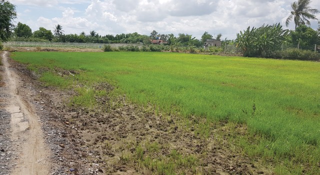 Long An: Dự án bị thu hồi, chính quyền giúp chủ đầu tư đòi tiền đặt cọc ảnh 1