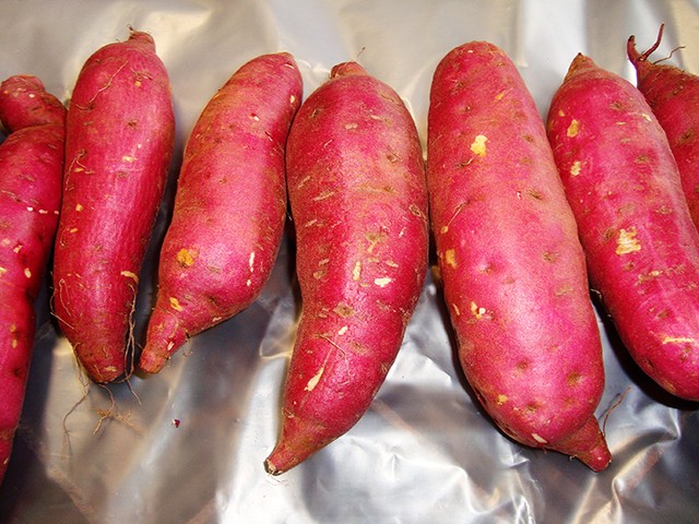 2 bộ bàn cách xuất khẩu khoai lang, chanh leo, dừa... sang Trung Quốc ảnh 1