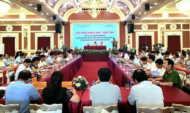 Hà Nam: 81 xã tổ chức tích tụ, tập trung, liên kết sản xuất nông sản ảnh 1