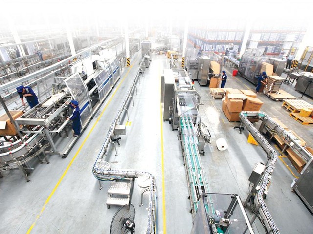 GS TSKH Nguyễn Mại phân tích về sự cần thiết của các tập đoàn kinh tế mạnh tại Việt Nam ảnh 1