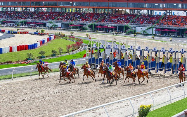Đại gia Hàn Quốc nhận giấy phép cho tổ hợp đua ngựa gần 10.000 tỷ tại Sóc Sơn ảnh 1