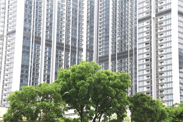 Quản lý, vận hành nhà chung cư: Chưa nên bỏ rào kỹ thuật ảnh 1