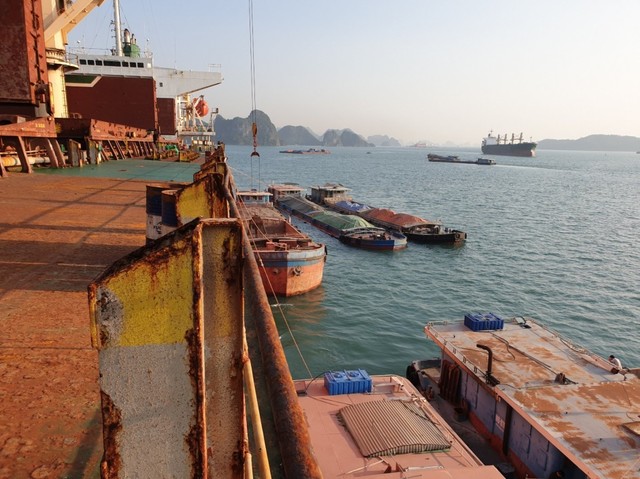 Doanh thu C69 tăng trưởng nhờ hoạt động xuất khẩu ảnh 2