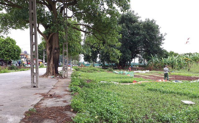 Thị trường đất nền Thanh Trì không tăng giá như tin đồn ảnh 1