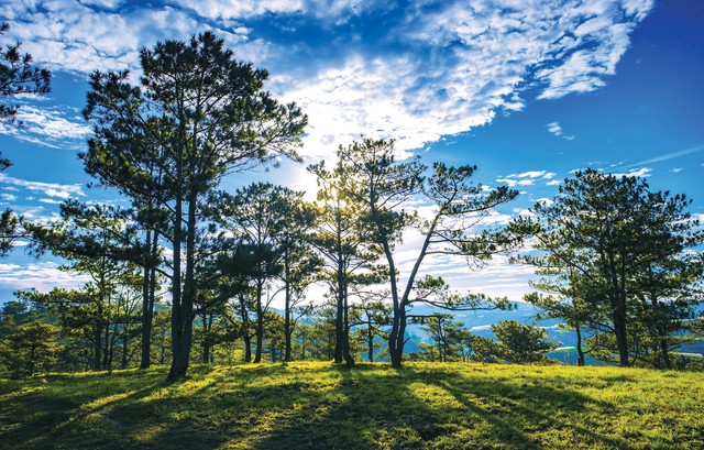 Để doanh nghiệp phát triển bền vững: Chuyên gia tài chính, kế toán cũng phải có trách nhiệm ảnh 2