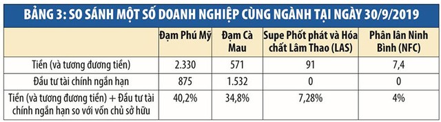 Đạm Phú Mỹ (DPM): Khối tiền ngàn tỷ đồng “ngủ quên” ảnh 3