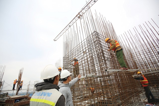 Chiến lược “ngủ đông” của các doanh nghiệp địa ốc ảnh 1