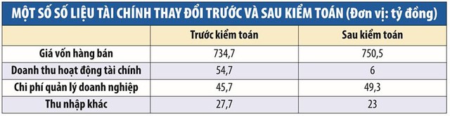 Camimex (CMX) tiềm ẩn rủi ro hàng tồn kho ảnh 1