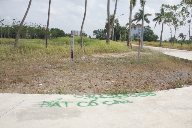 Công ty Phi Long: Khách hàng “long đong” sau sáp nhập ảnh 2