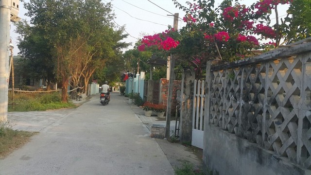 Đẩy nhanh giải phóng mặt bằng dự án Làng đại học Đà Nẵng ảnh 1