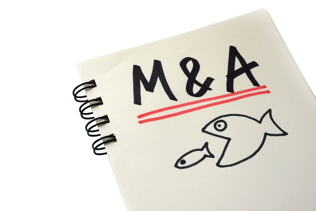 Cuộc đua săn đất vàng sau cổ phần hóa ảnh 1