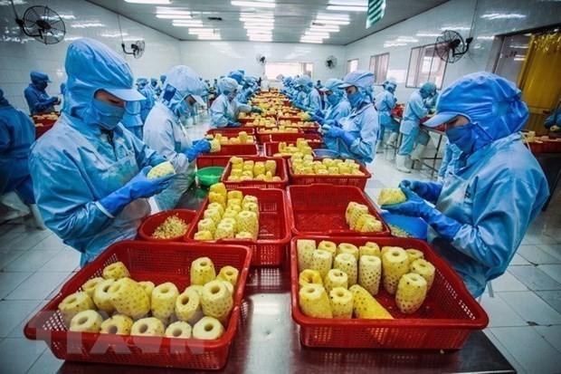 Thúc đẩy tiêu thụ hàng hóa nông sản sang thị trường Trung Quốc ảnh 1