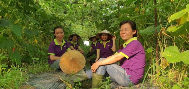 Có không mưu toan xoá sổ nông trại đạt chuẩn quốc tế của Vinamit để phân lô bán nền? ảnh 3