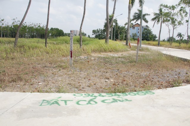 Vụ Công ty Phi Long bị khởi tố hình sự: Thông tin mập mờ gây khốn đốn ảnh 2