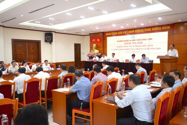 6 tháng đầu năm, 9 dự án đầu tư chế biến nông sản được khởi công ảnh 1