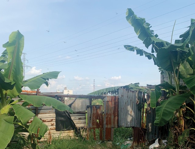 Thị trường địa ốc phía Nam vẫn rộ dự án “ma” ảnh 1