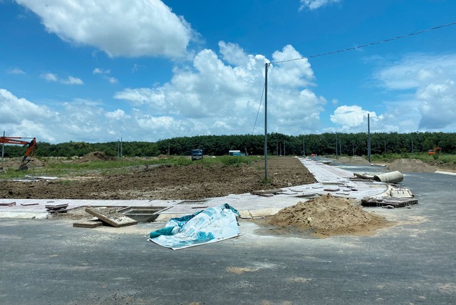 Long Thành hết thời xếp hàng săn đất ảnh 2