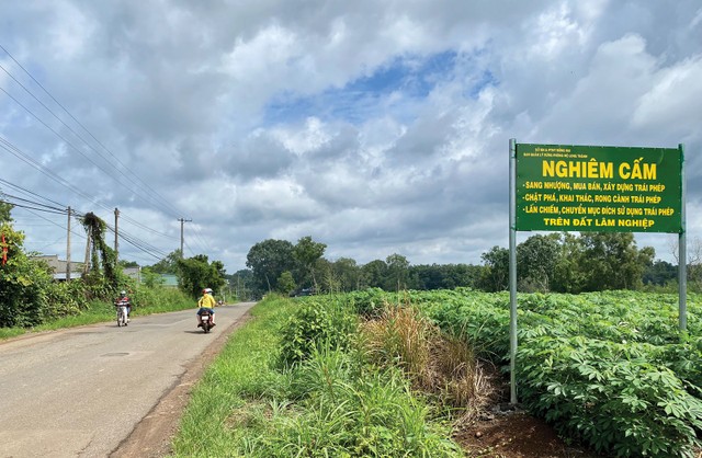 Long Thành hết thời xếp hàng săn đất ảnh 1