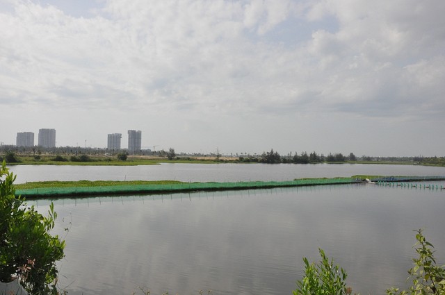 Đầu tư tuần qua: Hơn 1.400 tỷ xây dựng cảng biển Cà Ná và cơ chế cho Khu kinh tế Vân Phong ảnh 11