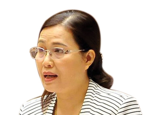 Bà Đỗ Thị Lan, Ủy viên thường trực Ủy ban về Các vấn đề xã hội của Quốc hội.