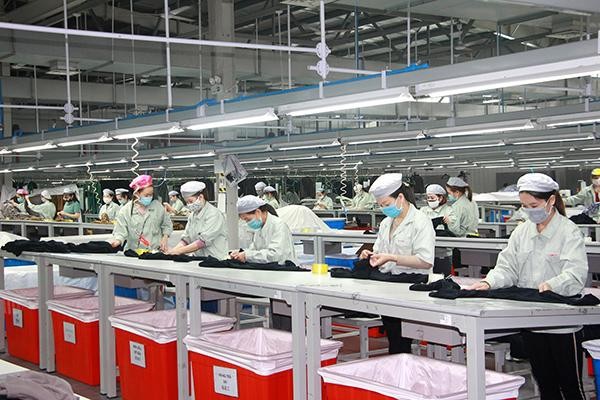 Hoạt động sản xuất tại Công ty TNHH May mặc Hoa Lợi Đạt. Ảnh: Mạnh Trường. Hoạt động sản xuất tại Công ty TNHH May mặc Hoa Lợi Đạt. Ảnh: Mạnh Trường.