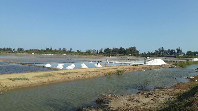 Kinh tế của huyện đảo Cần Giờ hiện chủ yếu dựa vào nông nghiệp. Ảnh: Trọng Tín