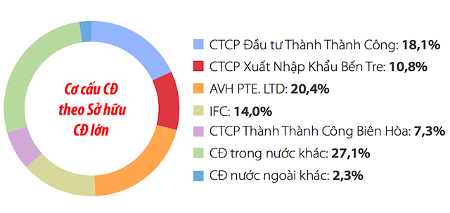 Cơ cấu cổ đông tại điện Gia Lai, tính đến cuối năm 2020.