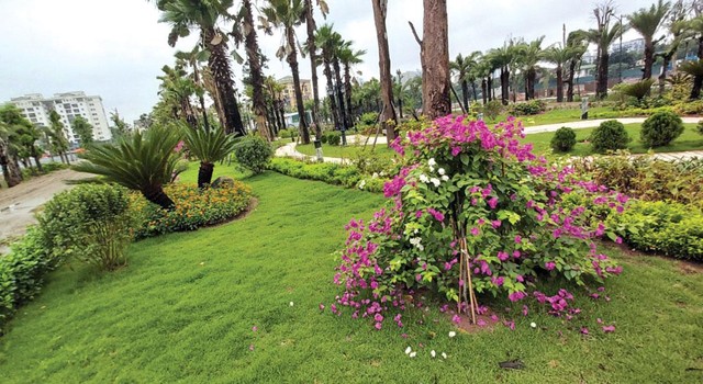 Nhiều mảng xanh mát mắt tại Louis City Hoàng Mai