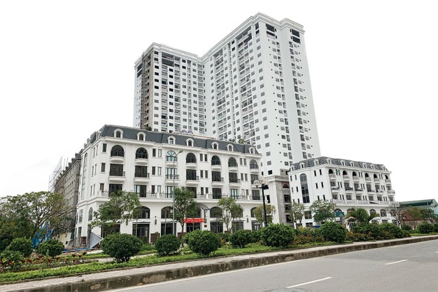 Dự án TSG Lotus Sài Đồng